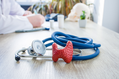 rubber thyroid next to a stethoscope