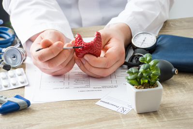 doctor holding a thyroid replica