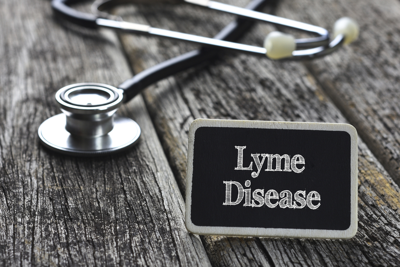 lyme disease