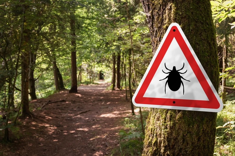 tick warning sign in forest