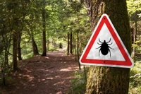 tick warning sign in forest