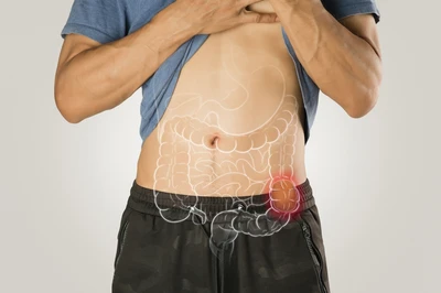 digestive system constipation
