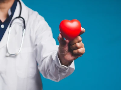 doctor holding model heart